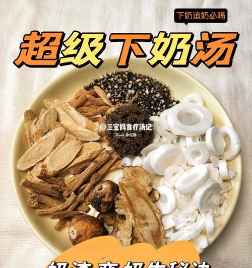 泰迪狗产后催奶最佳食物选择，15种营养食材助力母犬泌乳