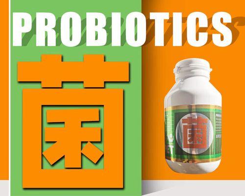 老年狗狗消食片选择使用指南：改善食欲消化问题