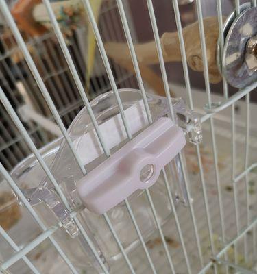 兔子食盆选择指南：材质大小防滑设计全面解析