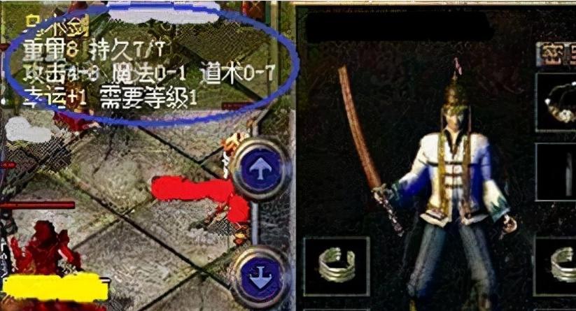 低蛋白血症狗狗饮食搭配指南：营养调理关键要点