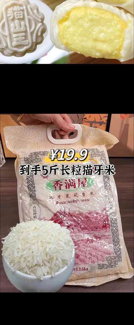 幼猫长牙期饮食指南：营养搭配与口腔护理要点