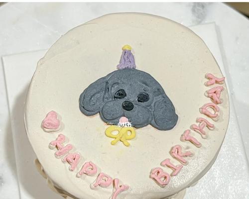 寄送宠物必备物品清单 安全运输15个关键准备要点