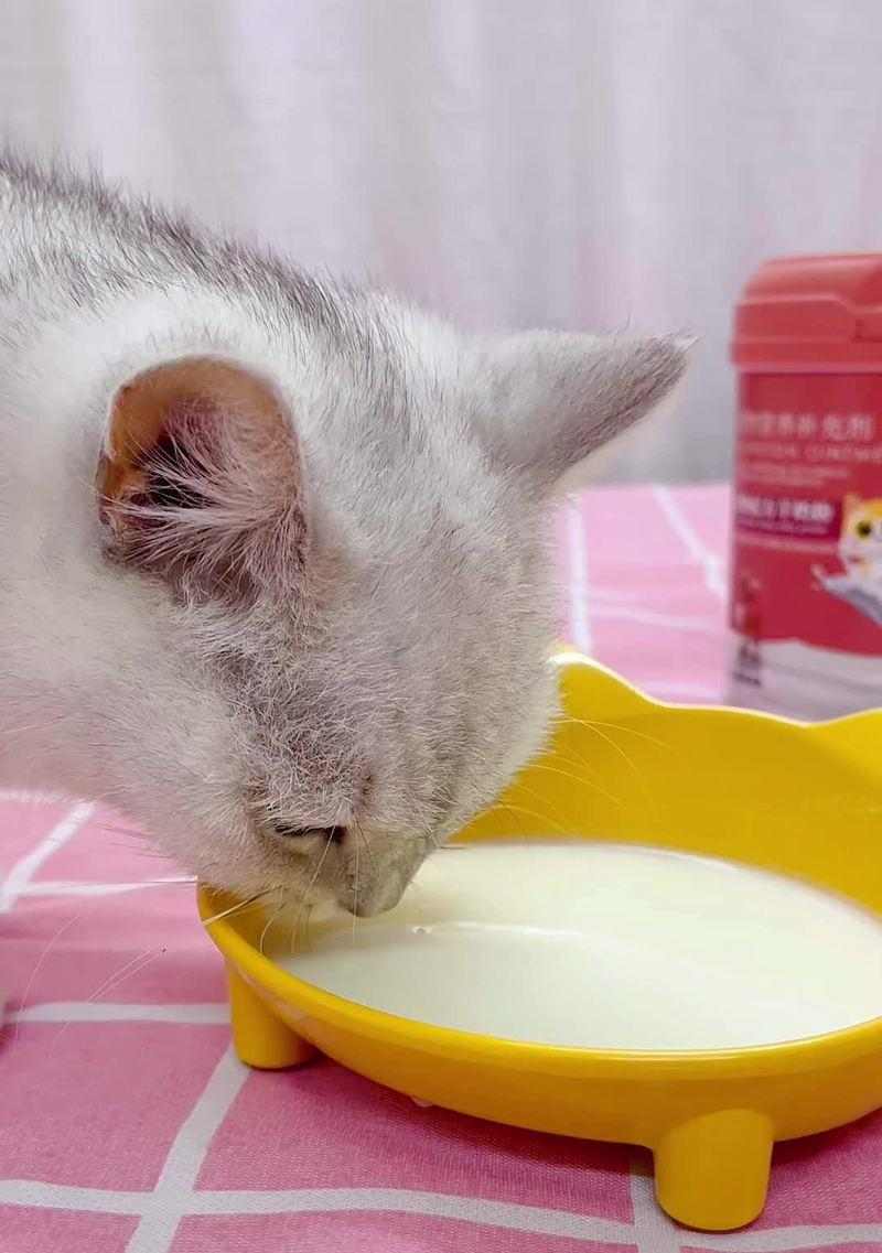 小奶猫奶粉选择指南：科学喂养要点全解析