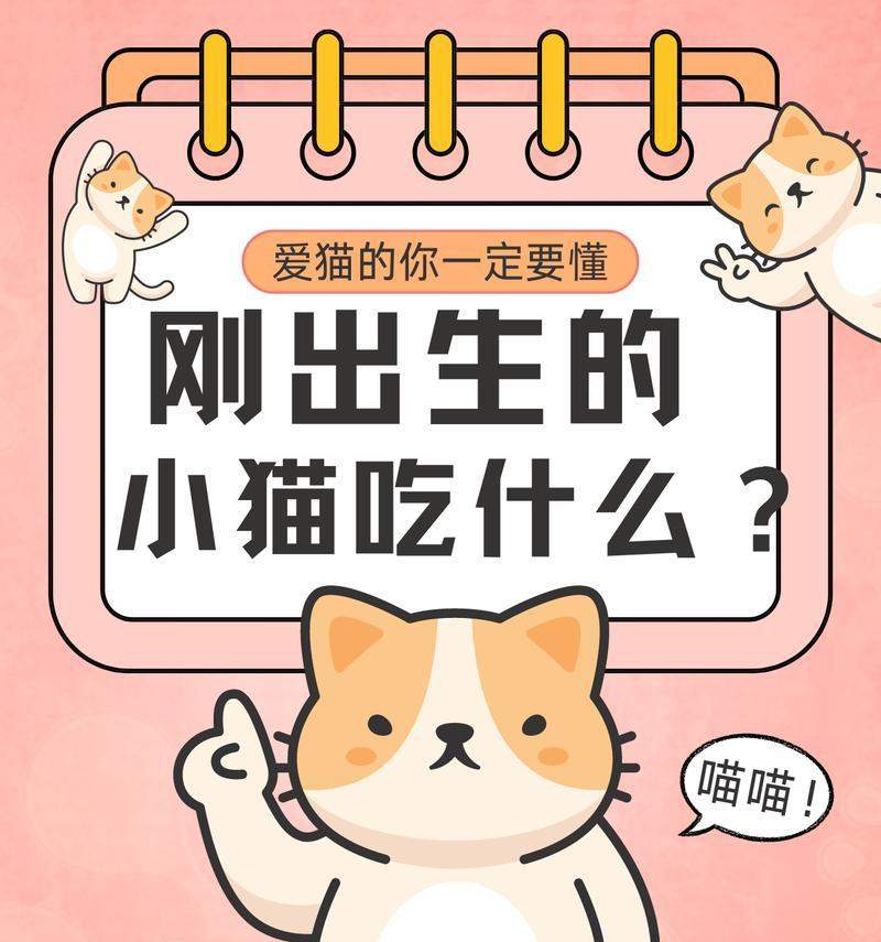 小猫仔饮食指南：营养需求与健康成长要点