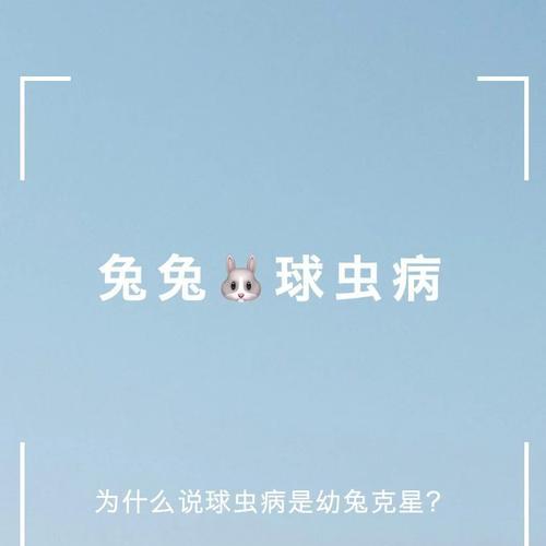 兔子球虫病传染途径有哪些 如何有效预防和控制