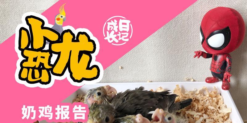 狗崽奶粉喂养指南：各阶段营养需求与正确喂养方法