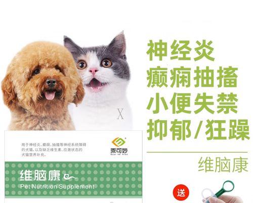 狗狗长期抽搐原因及治疗方法详解