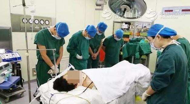 小狗摔伤内脏症状识别与紧急处理方法