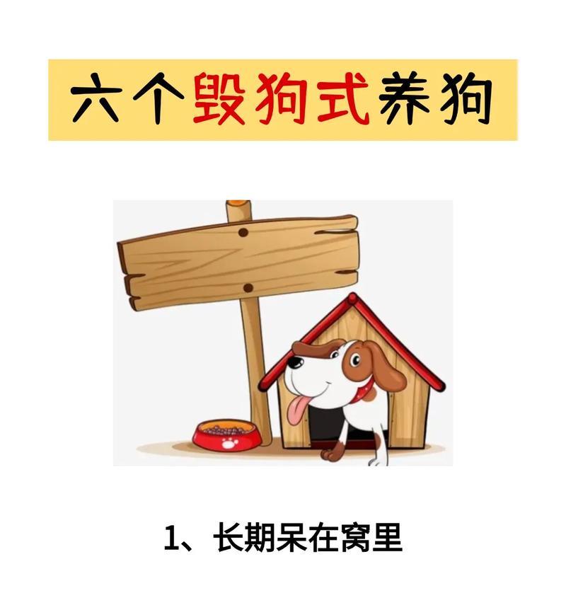 养狗前必备15项准备工作指南，为爱犬打造完美生活