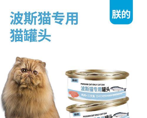 波斯猫怀孕期间饮食指南：营养搭配与喂养注意事项