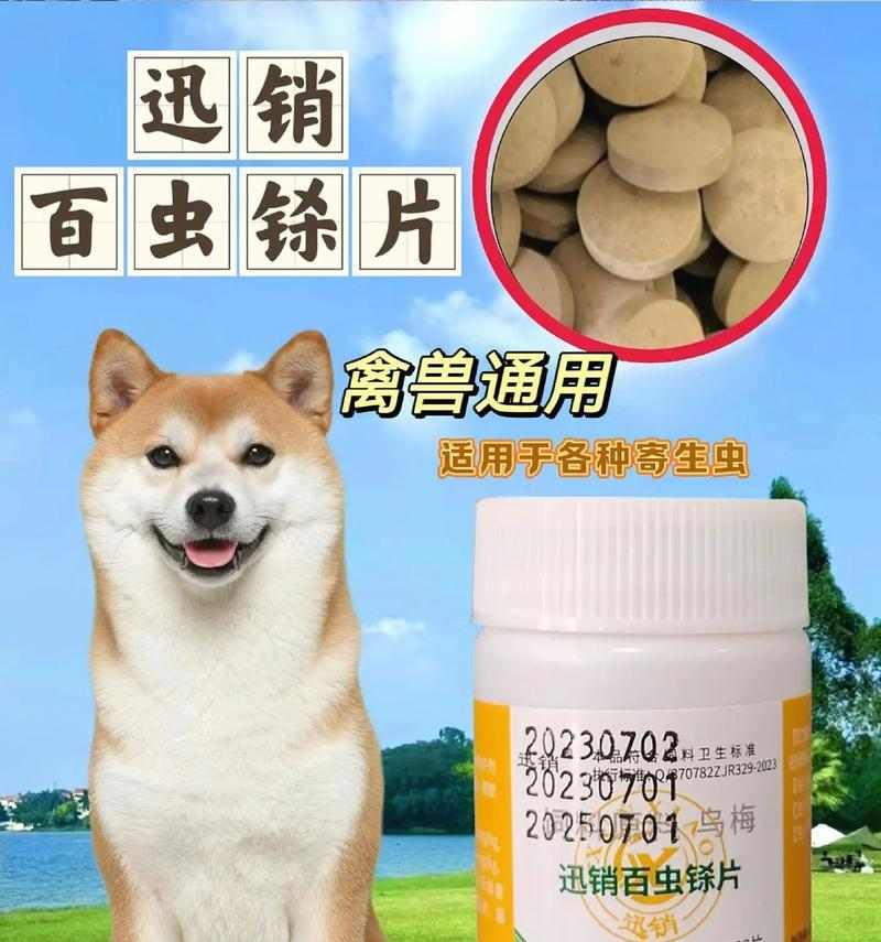 狗身上寄生虫危害大揭秘：种类识别与科学预防指南