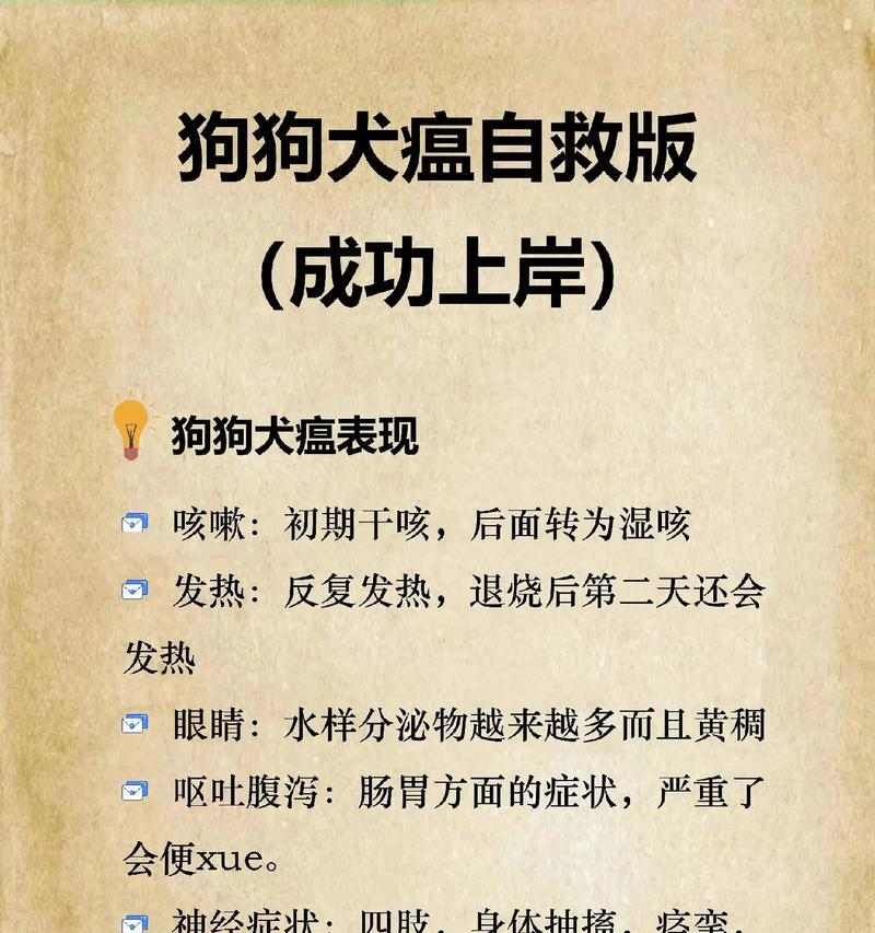 犬瘟症状识别与预防指南：守护爱犬健康的关键措施