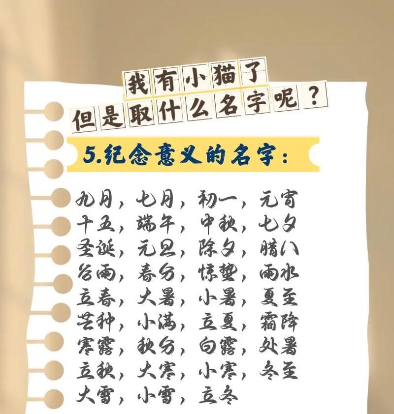 15个创意宠物名字推荐，为爱宠选择完美称谓指南