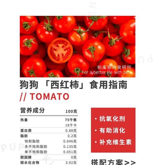 小狗受伤用药指南：15种常用药物及作用详解