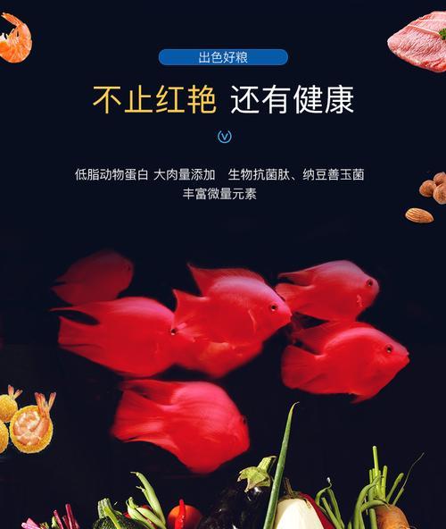 鹦鹉鱼苗科学饲养指南：15个关键要点助健康成长