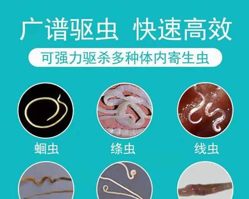 金毛幼犬驱虫指南：20天后用药选择与健康管理