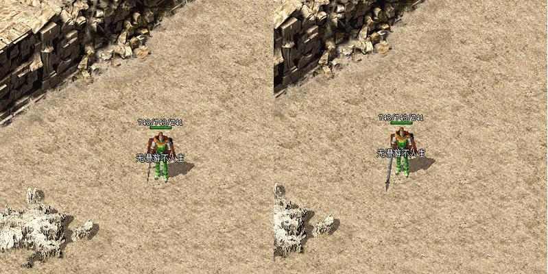 乌龟不能吃什么食物？15种危险食物清单及健康喂养指南