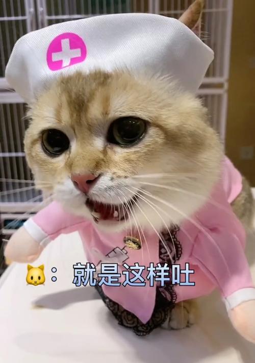 狗狗舌头烂了怎么办？15种药物治疗方法详解