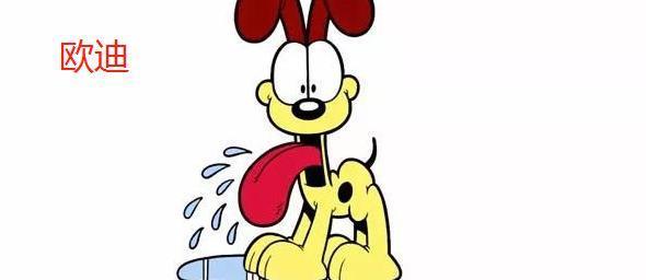 加菲猫品种特征与养护指南：温顺友善的理想家庭宠物