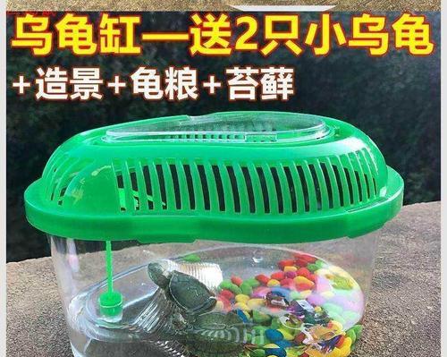 适合小女孩养的15种宠物推荐及选择指南