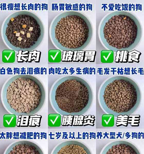 狗粮选择指南：如何通过合适狗粮控制狗狗体重
