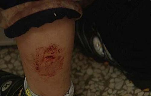 老血狗是什么意思 网络流行语的文化内涵解析