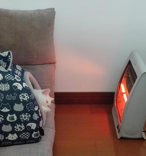 泰迪狗狗打哆嗦原因分析及有效解决方法