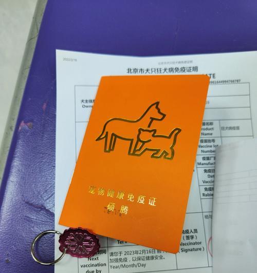 狗抗体检测全面指南：保障宠物健康的关键技术