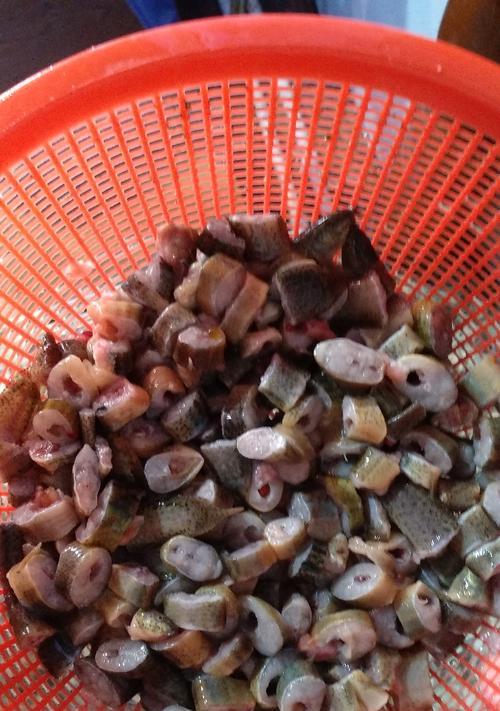 银龙鱼饲养指南：科学喂养与健康管理全攻略