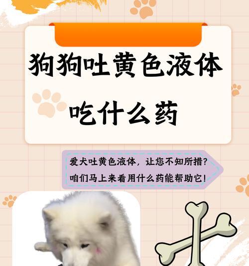 小狗呕吐15大原因详解及应对方法全攻略