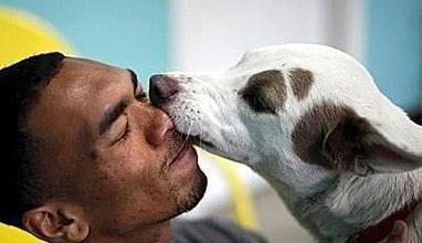 狗狗为什么喜欢舔主人的嘴？16个原因全面解析