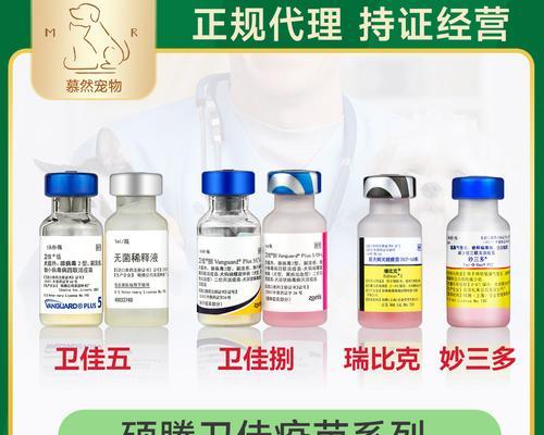 犬瘟治疗药物选择与使用方法全攻略