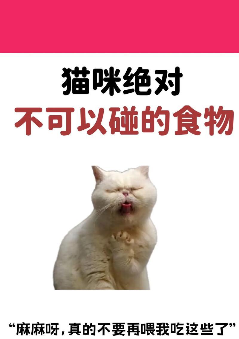 猫咪怀孕期间饮食指南：营养搭配与禁忌食物全攻略