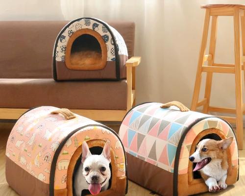 泰迪犬窝选择全攻略：为爱宠打造舒适安全居所