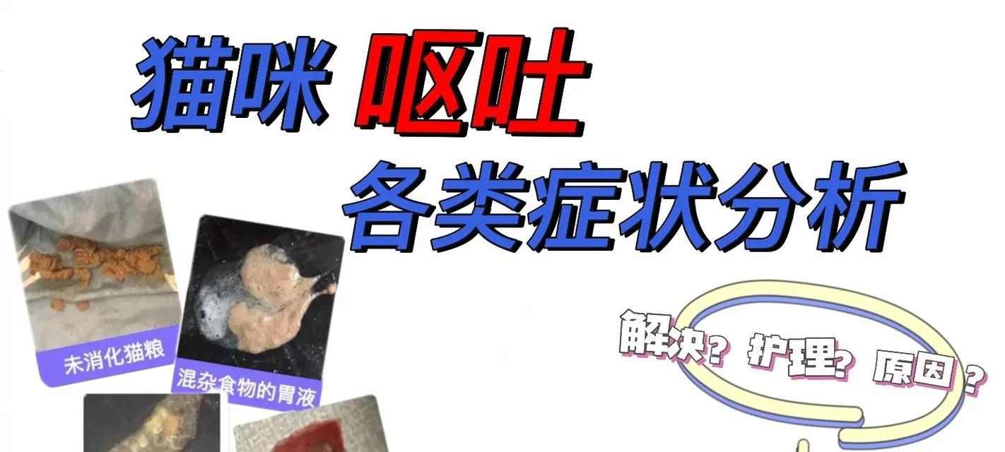 猫咪呕吐原因全解析：15种常见诱因及应对方法