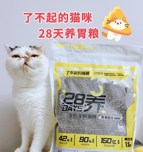 未满月小猫用药注意事项及安全指南