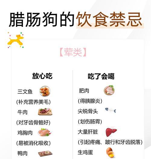 狗狗肠胃不好不能吃什么食物_宠物健康饮食指南