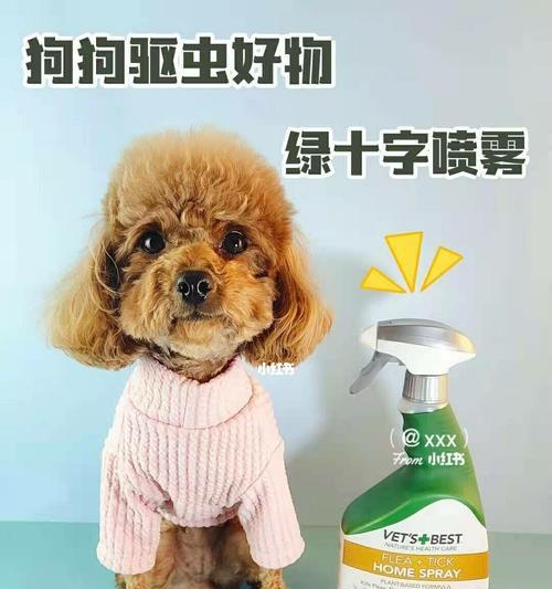 狗狗拉绿便怎么办？快速解决消化问题的有效方法