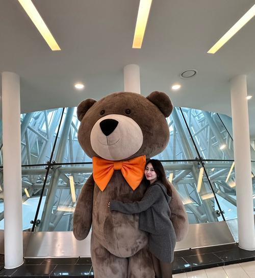 超级大型泰迪犬取名指南：15种创意命名方法推荐