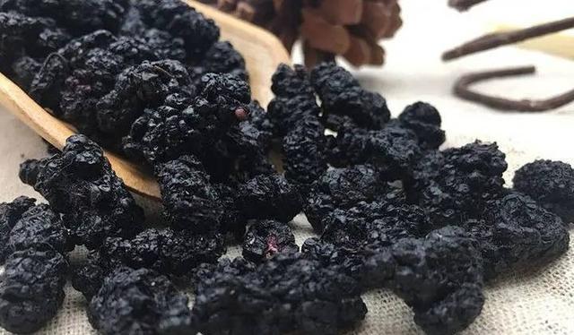 狗狗黑色便便怎么回事？15种原因及处理方法详解