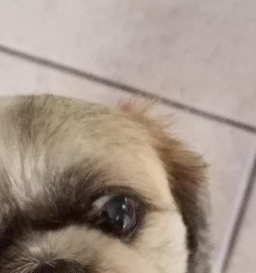 眼屎形成原因及预防方法详解，告别眼部不适困扰