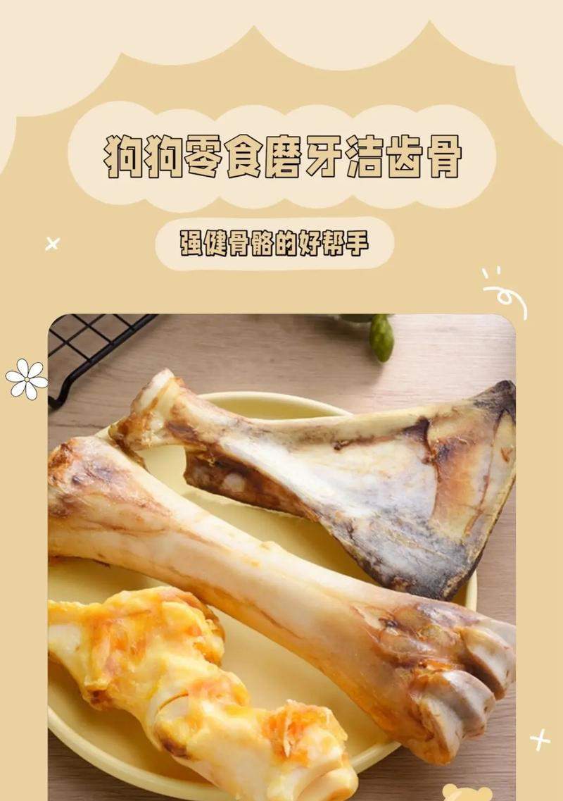 泰迪狗磨牙必备：选择合适磨牙玩具维护口腔健康指南