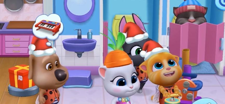 安吉拉猫从幼猫到成猫需要多长时间？成长周期全解析