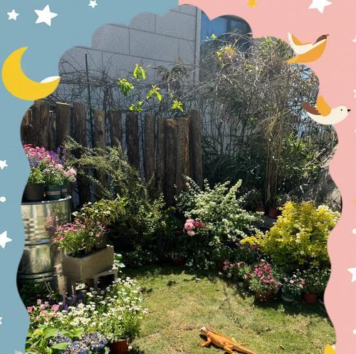 绿鬣蜥吃什么蔬菜最健康 营养搭配指南