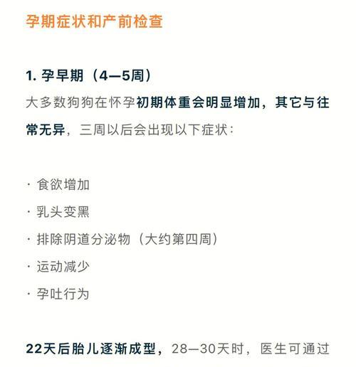 母犬怀孕到哺乳完整周期详解，从受孕到断奶时间节点全掌握