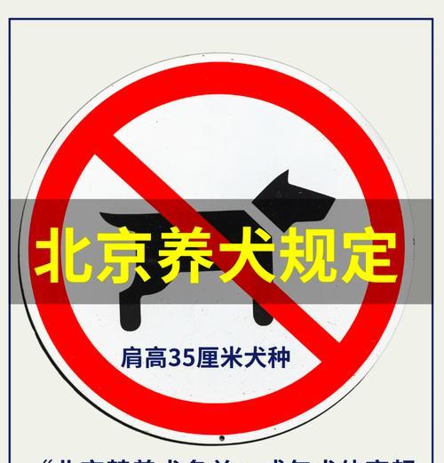 威海市区禁养犬种规定详解：城市环境与居民安全保障措施