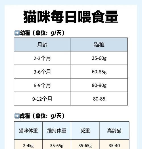 猫咪吃肉频率指南：年龄体重健康状况下的科学喂养方法