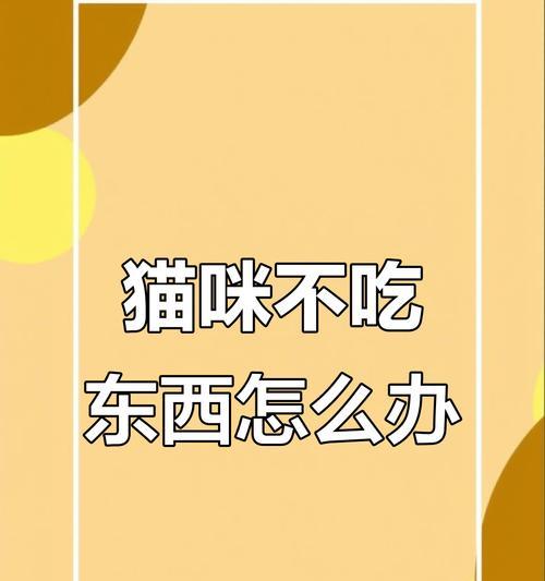 猫咪掉毛严重吃什么食物好？14种营养食材有效缓解掉毛问题
