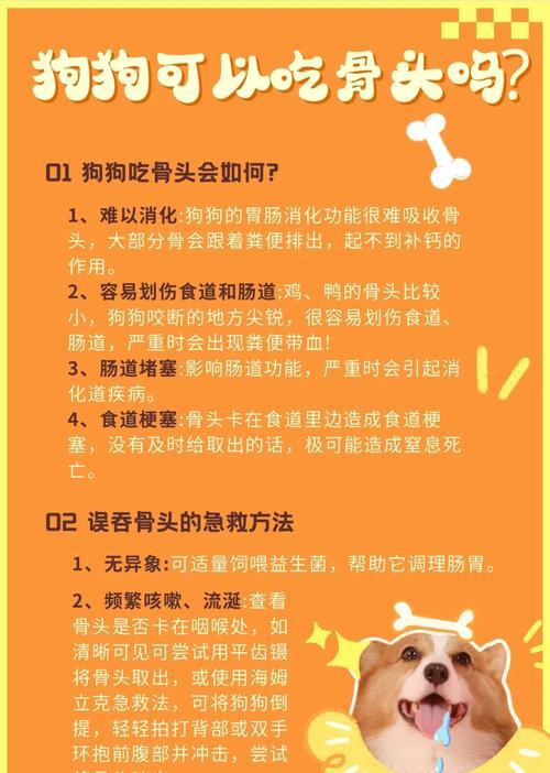 狗狗吃骨头需煮多久？安全喂食骨头的正确方法指南