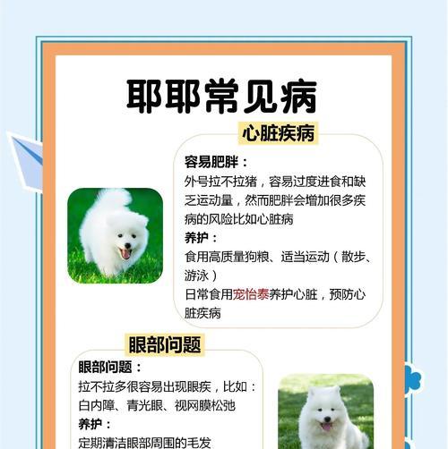 萨摩耶多久能认主人 建立默契需要多长时间